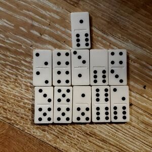 Classic White Domino Set
